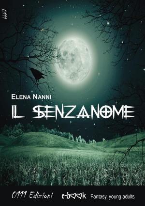 Cover of the book Il Senzanome by A. F. Dery