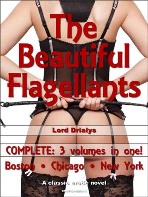 bigCover of the book The Beautiful Flagellants by 