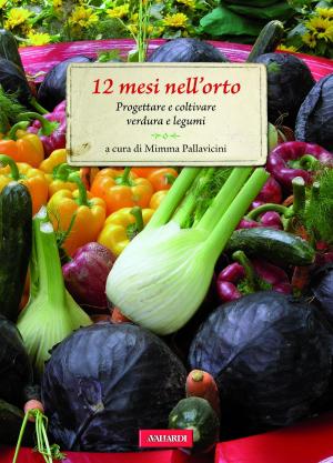 Cover of the book 12 mesi nell'orto by Mimma Pallavicini