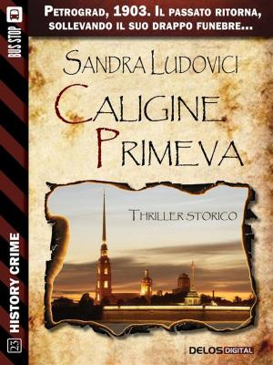 Cover of the book Caligine primeva by Ilaria Tuti