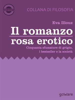 Book cover of Il romanzo rosa erotico. Cinquanta sfumature di grigio, i bestseller e la società