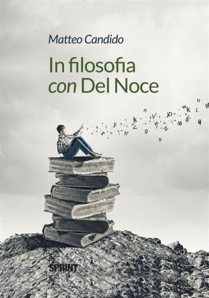 Cover of the book In filosofia con Del Noce by Roberto Dameri