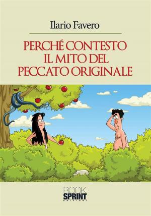 Cover of the book Perchè contesto il mito del peccato originale by Donato Patricelli