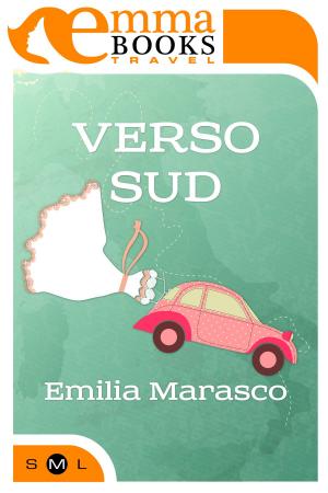Cover of the book Verso Sud by Alice Winchester, Anja Massetani
