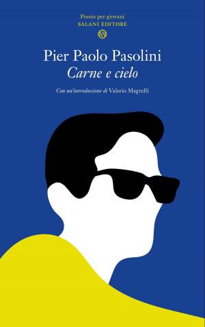 Book cover of Carne e cielo
