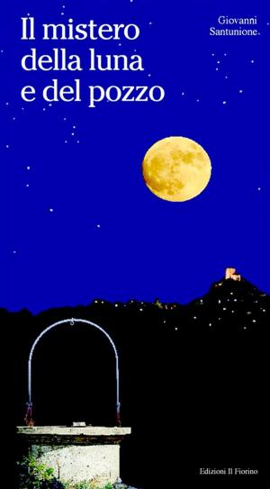 Cover of Il mistero della luna e del pozzo