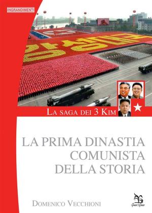 Cover of the book La Saga dei 3 Kim by Luigi Grazioli