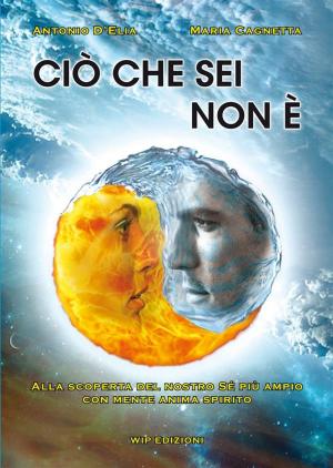 Cover of the book Ciò che sei non è by J.E.B. Spredemann