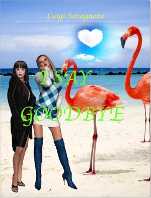 Cover of the book I Say Goodbye by Tim Kreider, Julie Etienne, Elodie Perrin
