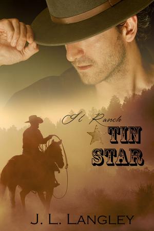 Cover of the book Il Ranch Tin Star by Christine E. Schulze