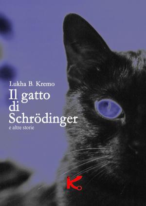 Cover of the book Il gatto di Schrödinger by Luigi Musolino