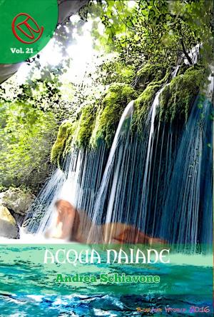 Cover of the book Acqua Naiade by Silvia Bordon, Marco Barbaro