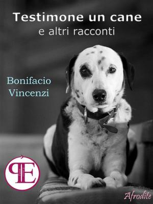 Cover of the book Testimone un cane e altri racconti by Michael S. Booker