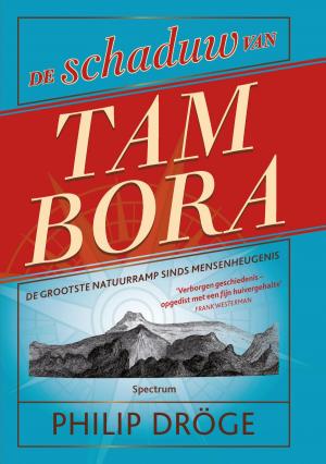 Cover of De schaduw van Tambora