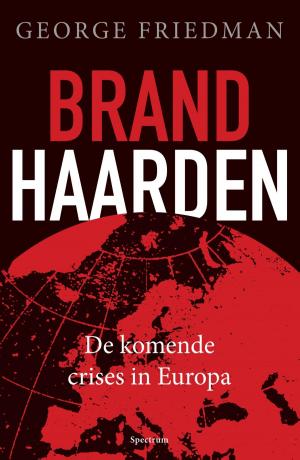 Cover of the book Brandhaarden by Vivian den Hollander