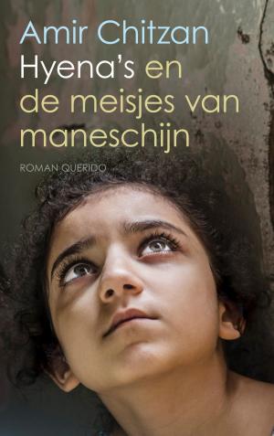 Cover of the book Hyena's en de meisjes van maneschijn by Sylvain Tesson