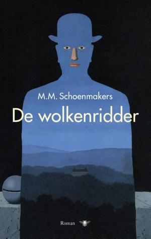 Cover of the book De wolkenridder by Wouter van Noort