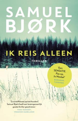 Cover of the book Ik reis alleen by Robert Jordan