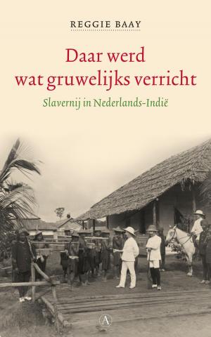 Cover of the book Daar werd wat gruwelijks verricht by Boudewijn Büch