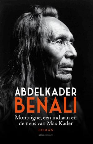 Cover of the book Montaigne, een indiaan en de neus van Max Kader by Lillie V. Albrecht