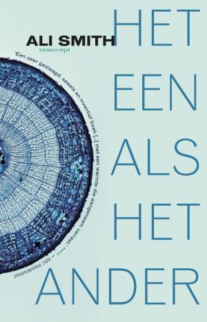 Cover of the book Het een als het ander by Dimitri Verhulst