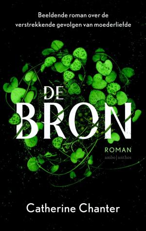 Cover of the book De bron by Ed Bar