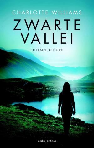 Cover of the book Zwarte vallei by Teri Thackston
