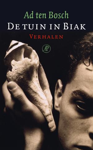 Cover of the book De tuin in Biak by Jef Aerts