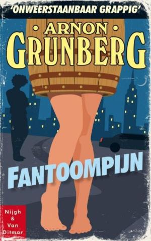 Cover of the book Fantoompijn by Theun de Vries