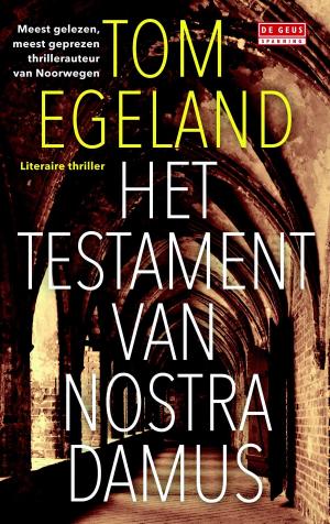 Cover of the book Het testament van Nostradamus by Renate Dorrestein