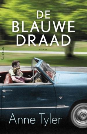 Book cover of De blauwe draad