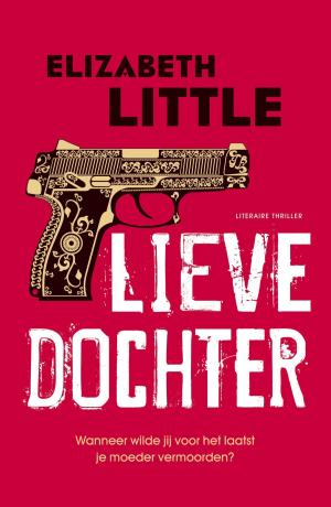 Book cover of Lieve dochter