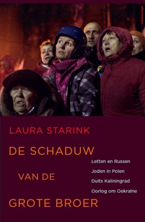 Cover of the book De schaduw van de grote broer by Renate Rubinstein