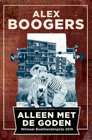 Cover of the book Alleen met de goden by Wilfried de Jong