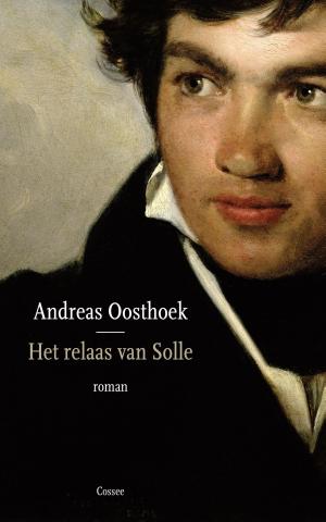 Cover of the book Het relaas van Solle by Milena Michiko Flasar