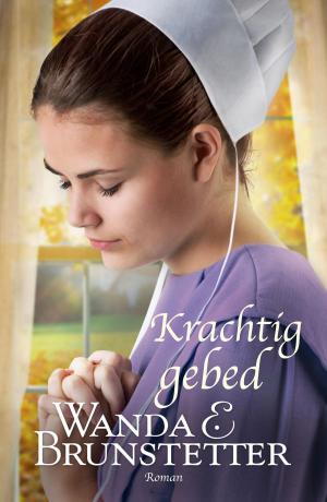 Cover of the book Krachtig gebed by Hetty Luiten