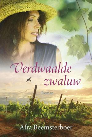 Cover of the book Verdwaalde zwaluw by Jetty Hage