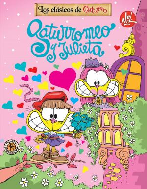 Cover of the book Gaturromeo y Julieta by Nik