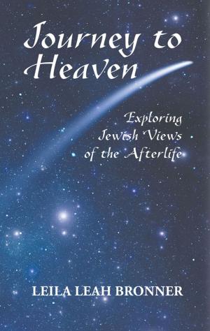 Cover of the book Journey to Heaven by A. Yehuda Warburg, A. Yehuda Warburg