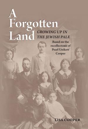 Cover of the book Forgotten Land by Rabbi Abraham J. Twerski