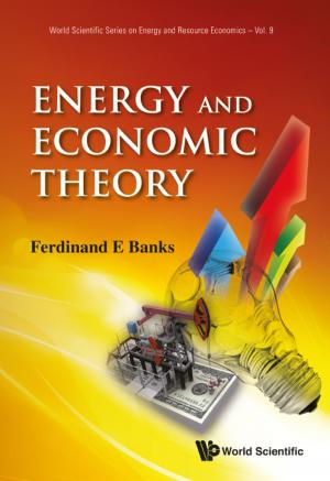 Cover of the book Energy and Economic Theory by Plamen Parvanov Angelov
