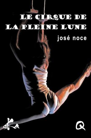 Cover of the book Le cirque de la pleine lune by Jeanne Desaubry