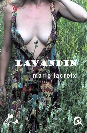 Cover of the book Lavandin by Rachid Santaki