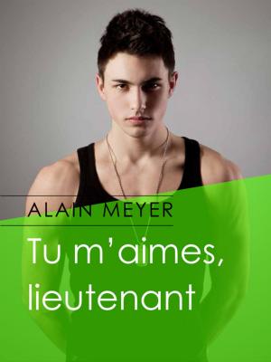 Cover of the book Tu m'aimes, lieutenant by Alain Meyer