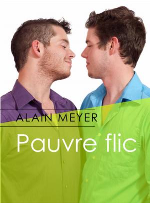 Cover of the book Pauvre flic by Mia Epsilon