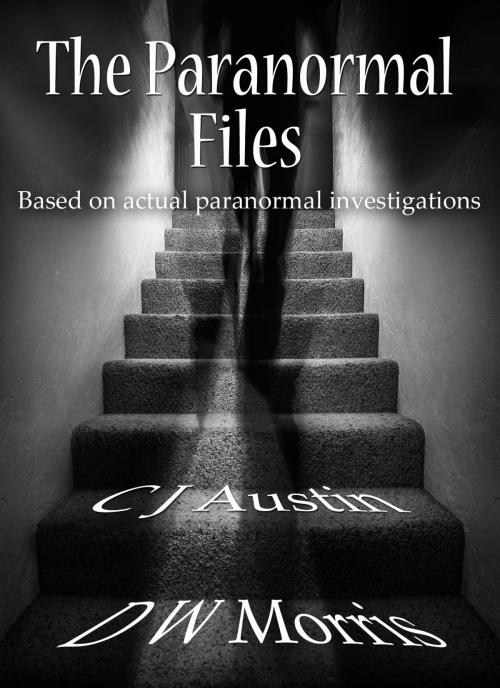 Cover of the book The Paranormal Files by C J Austin, D W Morris, Titan InKorp