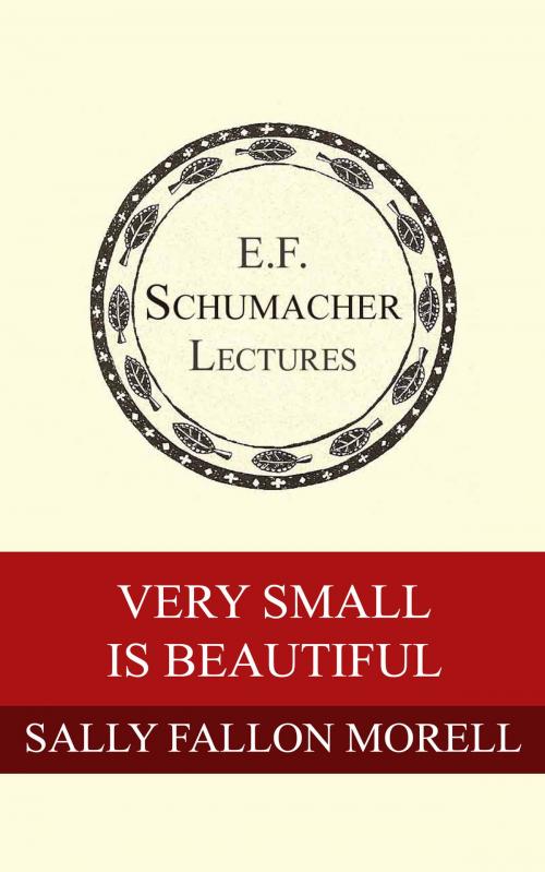 Cover of the book Very Small is Beautiful by Sally Fallon Morell, Hildegarde Hannum, Schumacher Center for a New Economics