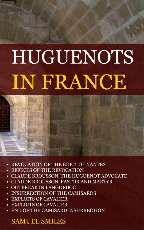 Cover of the book Huguenots in France by Smiles, Samuel, Delmarva Publications, Inc.