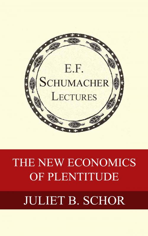 Cover of the book The New Economics of Plentitude by Juliet B. Schor, Hildegarde Hannum, Schumacher Center for a New Economics