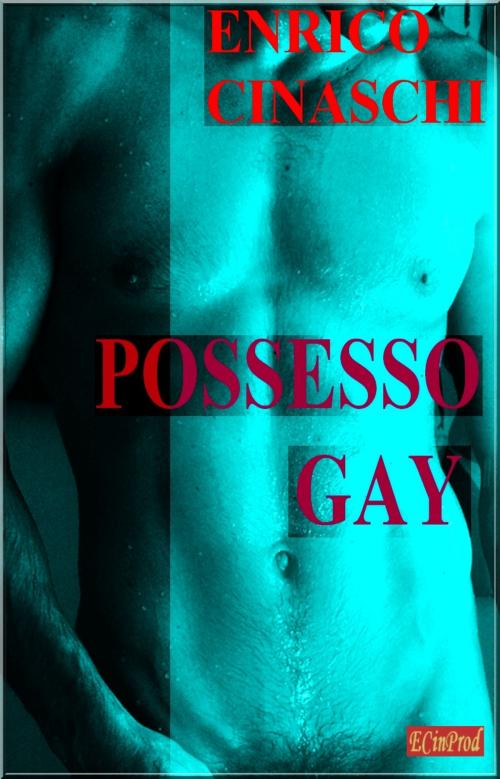 Cover of the book Possesso Gay by Enrico Cinaschi, Enrico Cinaschi
